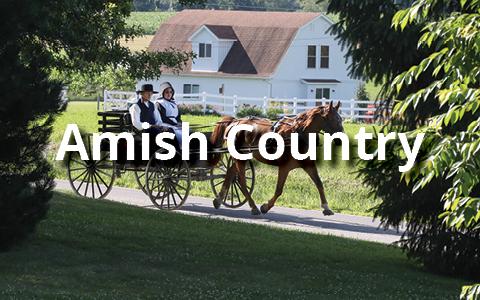 Amish Country Tours