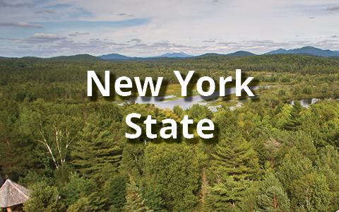 New York State Tours