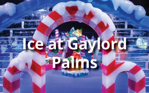 Ice at Gaylord Palms