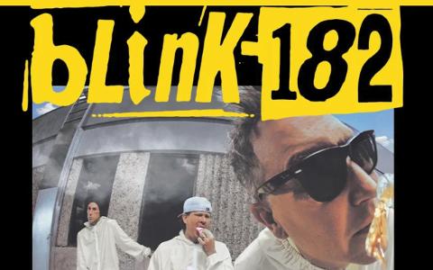 Blink 182 at Madison Square Garden