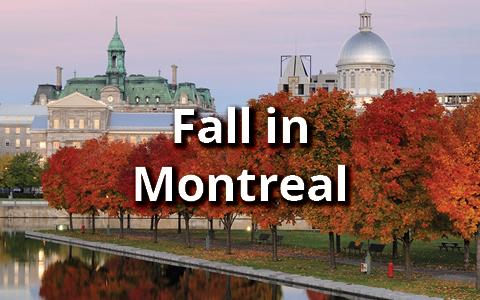 Fall in Montreal
